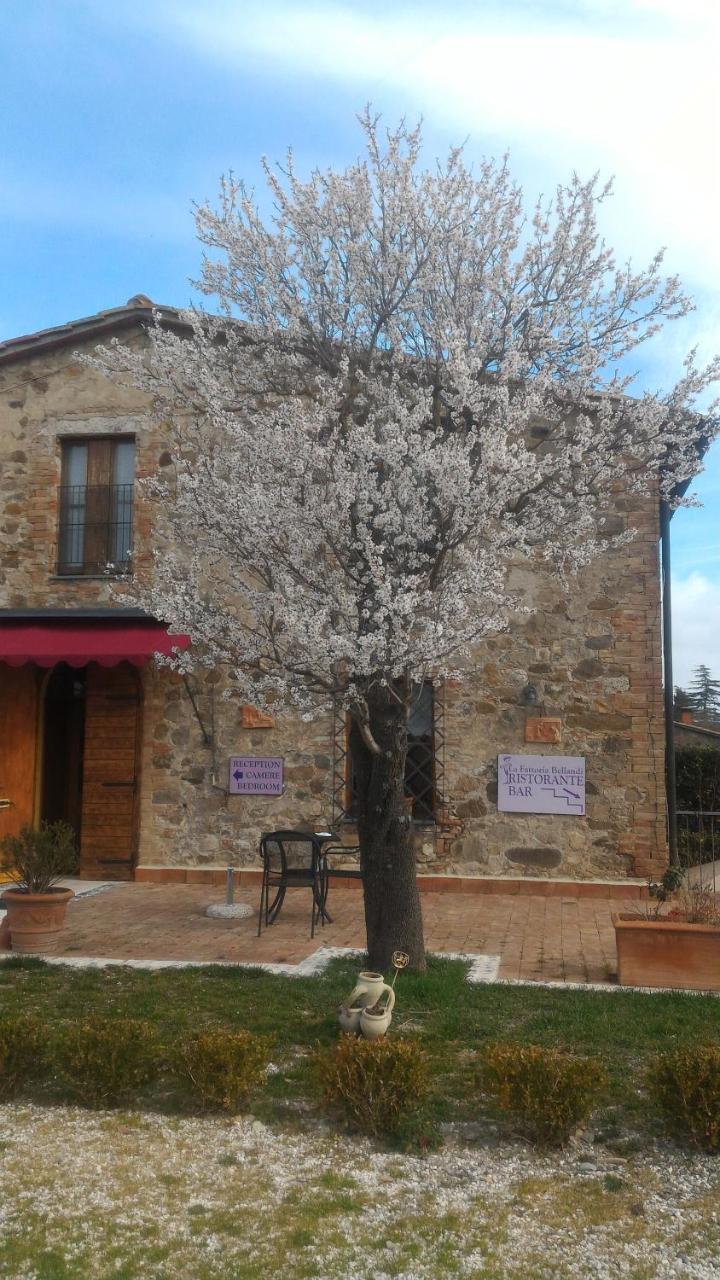 Country House La Fattoria Bellandi Contignano Εξωτερικό φωτογραφία